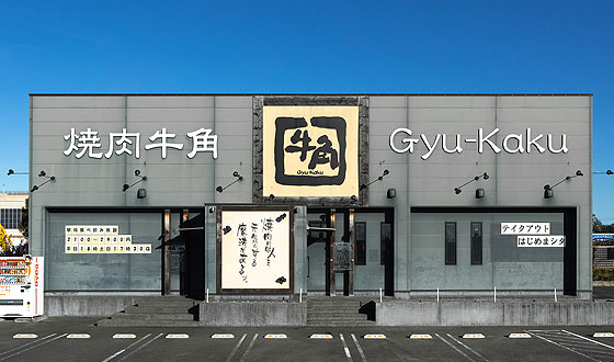 牛角の外観